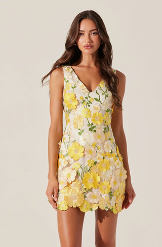 AISHA FLORAL APPLIQUE MINI DRESS