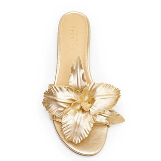 Lila Flat