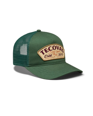 Longhorn Hat