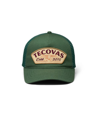 Longhorn Hat