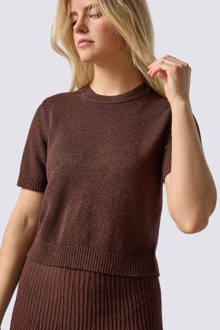 Short Sleeve Sparkle Sweater