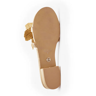 Lila Flat