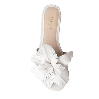 Lila Flat