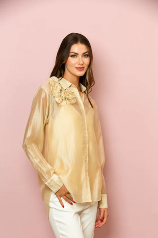 Button Down Shirt